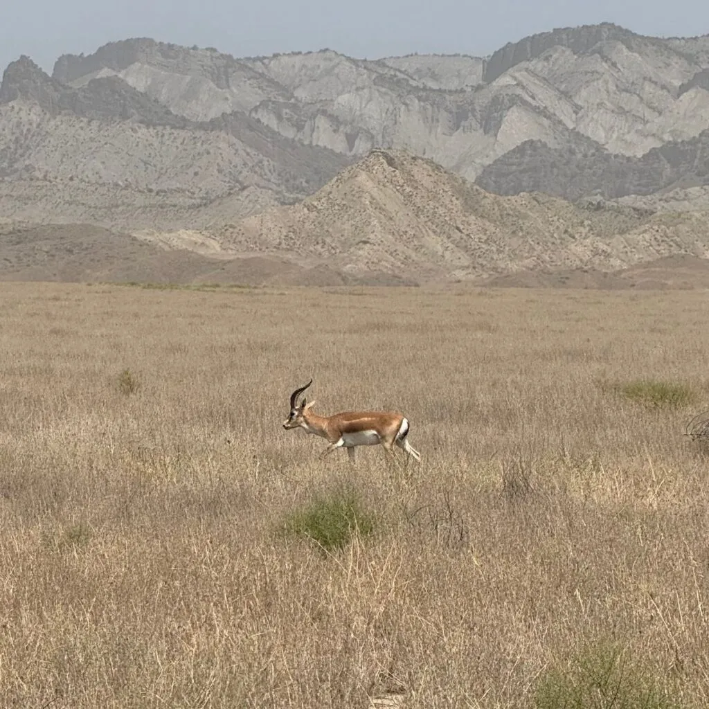 Image #6 from Ode C.