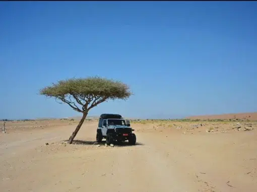 josh-oman-4x4-rental (10) A black all-terrain vehicle is parked under a solitary, flat-topped acacia tree, in a vast, sandy desert landscape, under a clear blue sky.