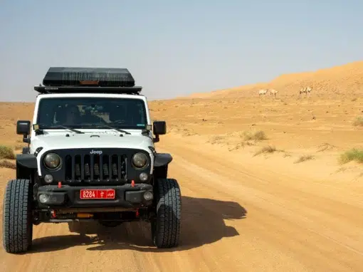 josh-oman-4x4-rental (8) A white Jeep with a roof box is parked on a sandy desert road, with a few camels visible in the distance near sand dunes under a clear sky.