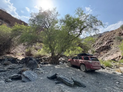 josh-oman-4x4-rental (9) A dusty red SUV is parked under a large green tree in the middle of rocky terrain in a desert canyon, with sunlight streaming through the branches and mountains in the background.